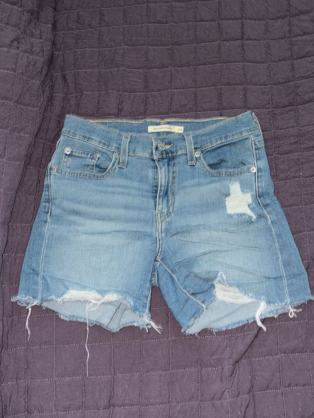 Levi's Light Blue Distressed Denim Cutoff Shorts